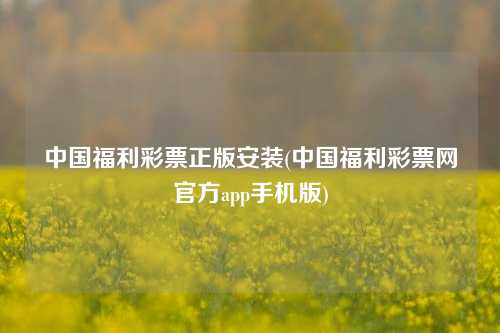 中国福利彩票正版安装(中国福利彩票网官方app手机版)