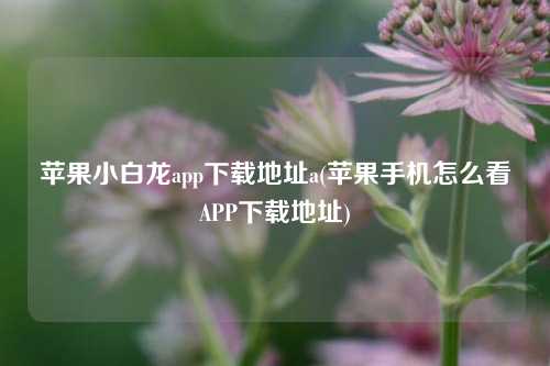 苹果小白龙app下载地址a(苹果手机怎么看APP下载地址)