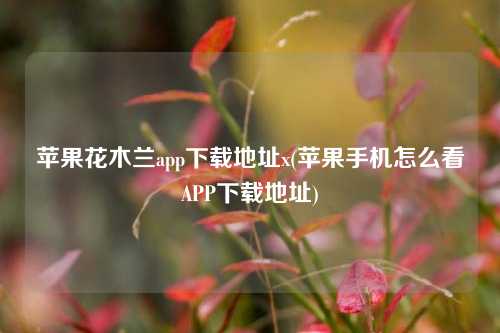 苹果花木兰app下载地址x(苹果手机怎么看APP下载地址)
